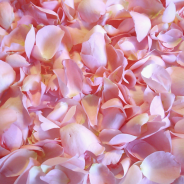 GEM din petale de TRANDAFIRI FARA ZAHAR 360g