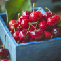 GEM 100% FRUCT- de VISINE 230g
