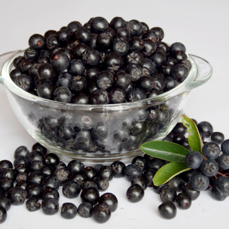 BIO GEM 100% FRUCT- ARONIA 280g