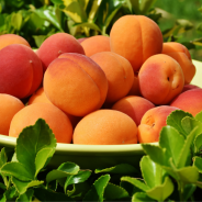 BIO GEM 100% FRUCT- CAISE 280g