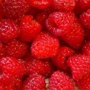 GEM BIO de Zmeura, 230g