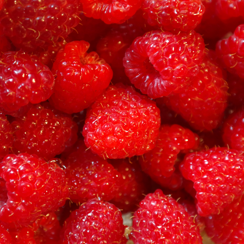 GEM BIO de Zmeura, 230g